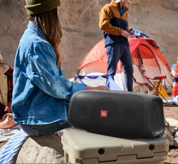 JBL BassPro Go